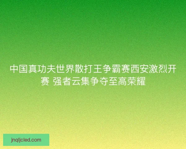 中国真功夫世界散打王争霸赛西安激烈开赛 强者云集争夺至高荣耀